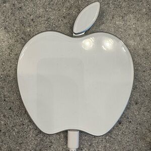 Apple White Charger